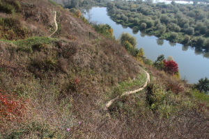 Widok og&oacute;lny na rezerwat